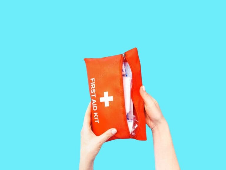 Health and First Aid for House Sitters